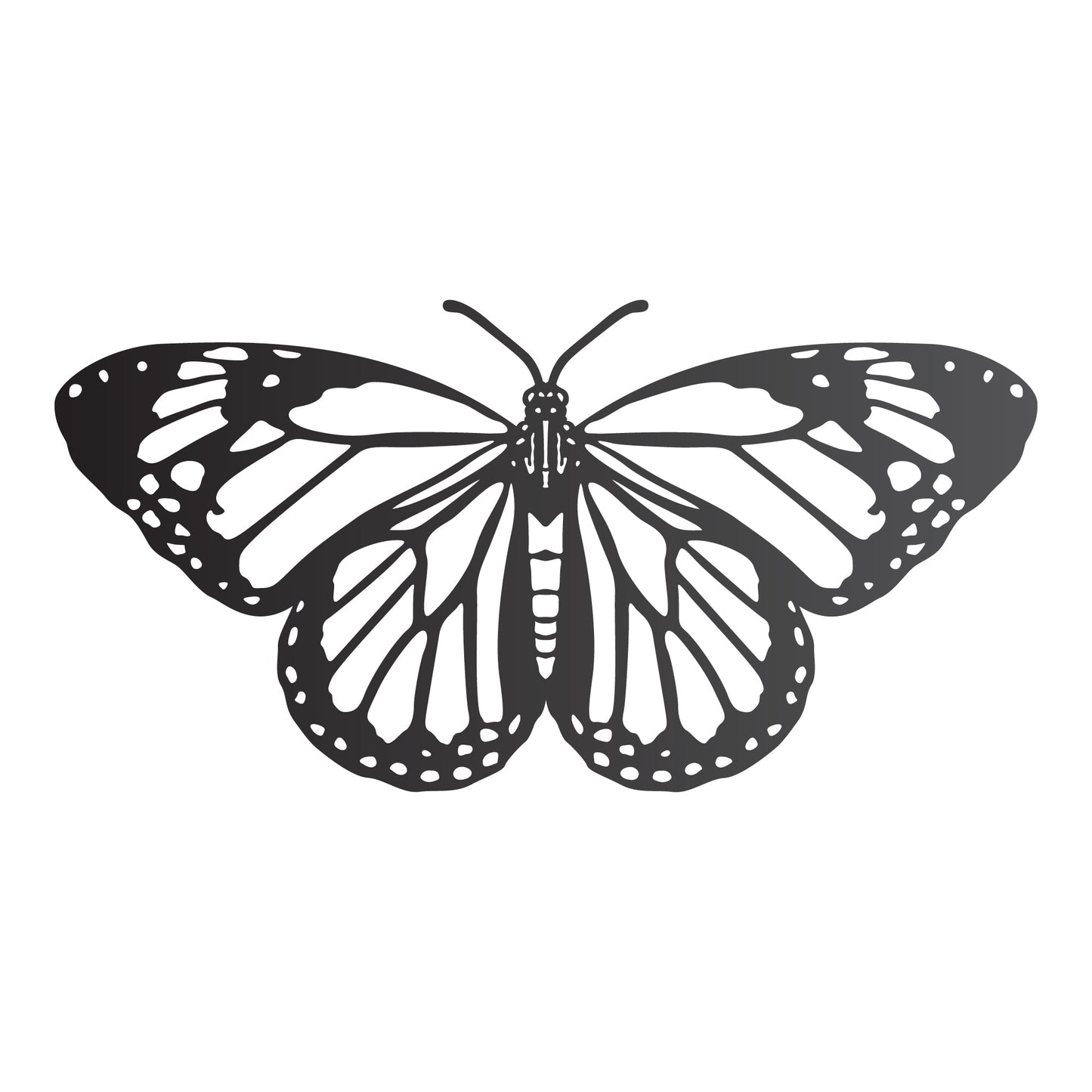 Butterfly Wall Art